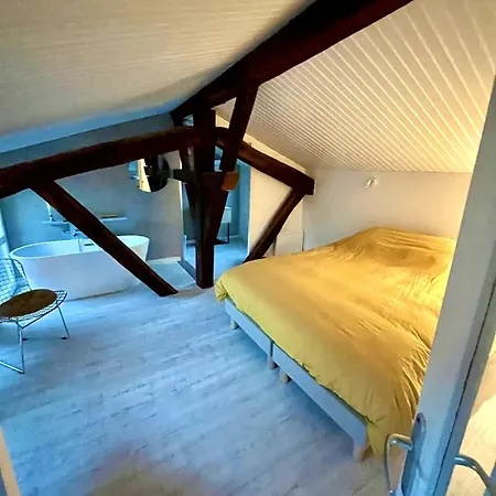 ღ Merciers Duplex De Charme Au Centre Historique Lejlighed